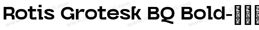Rotis Grotesk BQ Bold字体转换